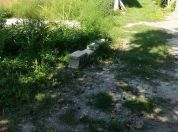 Šta ako vaš komšija gaji ambroziju u svom dvorištu? - 2015