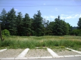 Park u Glogonjskom Ritu leglo krpelja i zmija - 21.05.2013