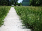 Park u Glogonjskom Ritu leglo krpelja i zmija - 21.05.2013