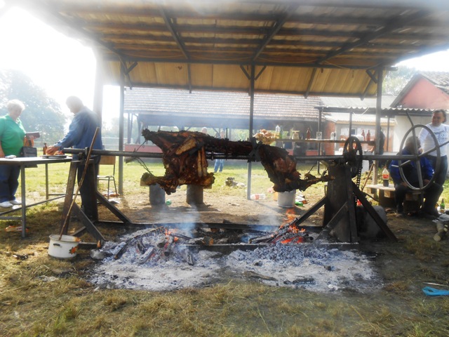 Praznik rada obeležen na Besnom Foku uz vola na ražnju i narodne igre
