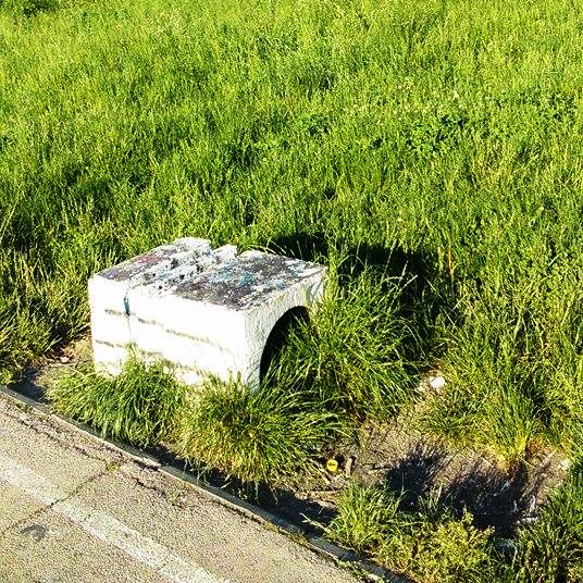 Molba malog Paje iz Koteža - 2015