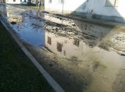 Repa Kamioni Kovilovo Pupinov most 2015