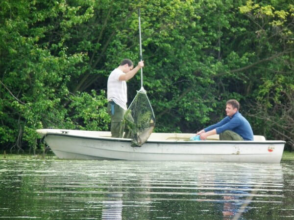 Pomor ribe Vizelj Borča