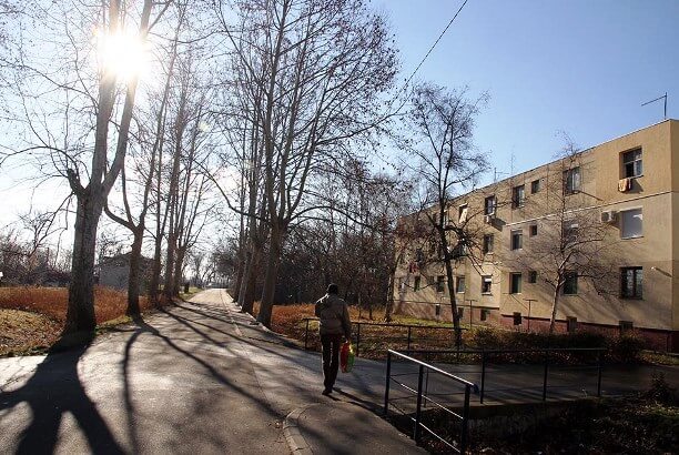 U Glogonjskom ritu vetar izvalio drvo i oštetio automobil